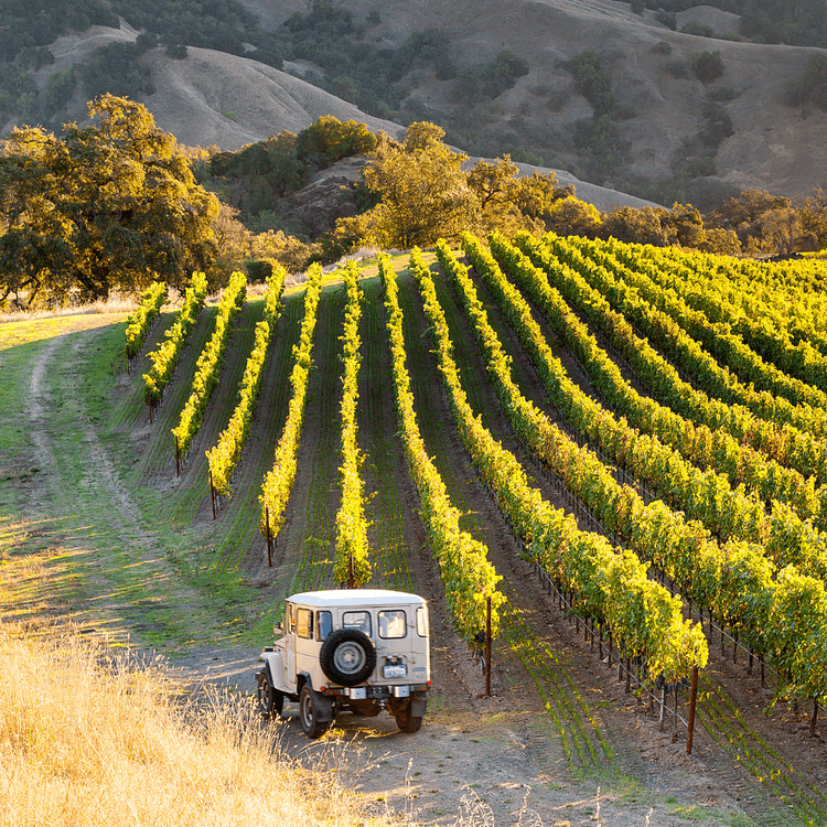 Sonoma
