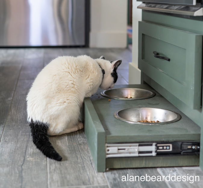 Remodeling with Pets In Mind: Tips from Project Director Alane Beard